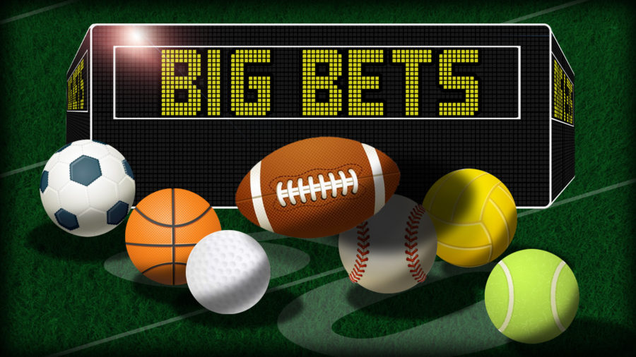 Ideal Betting Websites in South Africa